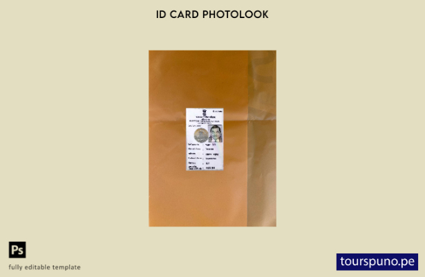listo para imprimir plantilla frontal de aspecto fotográfico de tarjeta de id 16